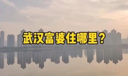 武汉楼市最新爆料,揭秘最新价格走势与热门项目盘点