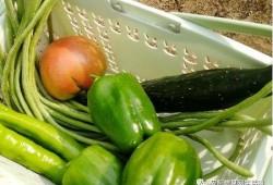 安阳吃瓜最新事件爆料是真的吗,最新爆料真相揭秘