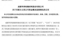 国内上市公司最新爆料,业绩增长与行业变革并行