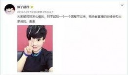 田娃直播 爆料最新消息,最新消息大揭秘！