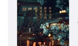 映晴雅集最新爆料,揭秘神秘项目背后的故事