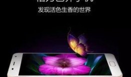 格力内部爆料图片最新版,最新版内部图片揭秘！