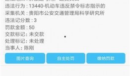 金宝通最新爆料电话查询,揭秘电话查询背后的秘密与真相
