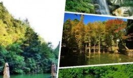 浙江天台爆料新闻最新消息,惊现神秘事件引关注