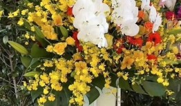 花篮网爆料最新消息今天,今日热点事件最新进展揭秘！”