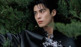 王鹤棣八卦爆料最新,揭秘娱乐圈背后的惊人真相