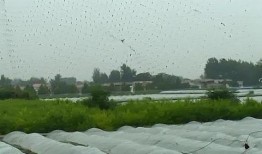 临颖新闻爆料网最新动态,揭秘临颖本土热点事件！