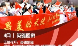 天水头条最新爆料,最新爆料事件深度解析