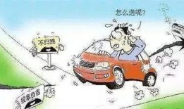 常熟最新的爆料事件,神秘事件背后真相揭晓