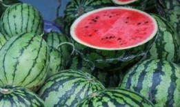 库尔勒吃瓜最新事件爆料,揭秘背后真相与网络热议背后的故事