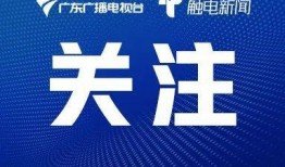 澳门新冠最新爆料信息,疫情动态与防控措施全解析