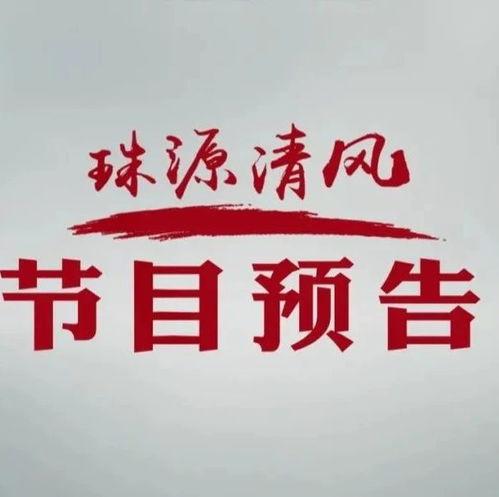 沾益最新爆料消息新闻报道,揭秘重大新闻事件背后的真相