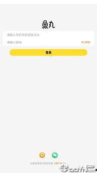 鱼丸语音软件最新爆料,揭秘神秘功能与升级亮点