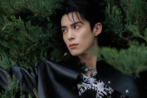 王鹤棣八卦爆料最新,揭秘娱乐圈背后的惊人真相