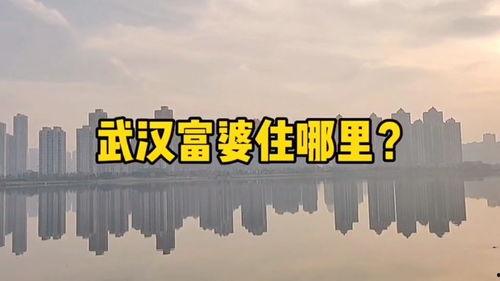 武汉楼市最新爆料,揭秘最新价格走势与热门项目盘点